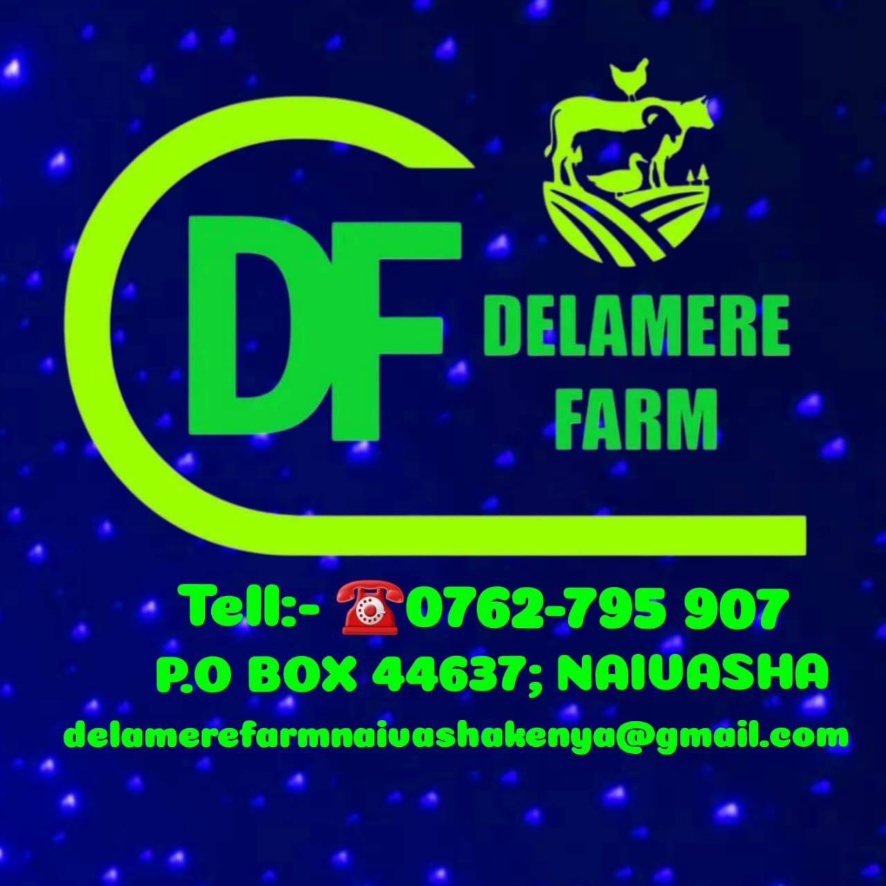 Delamere Farm Logo